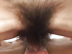 Hairyest fitte bvr